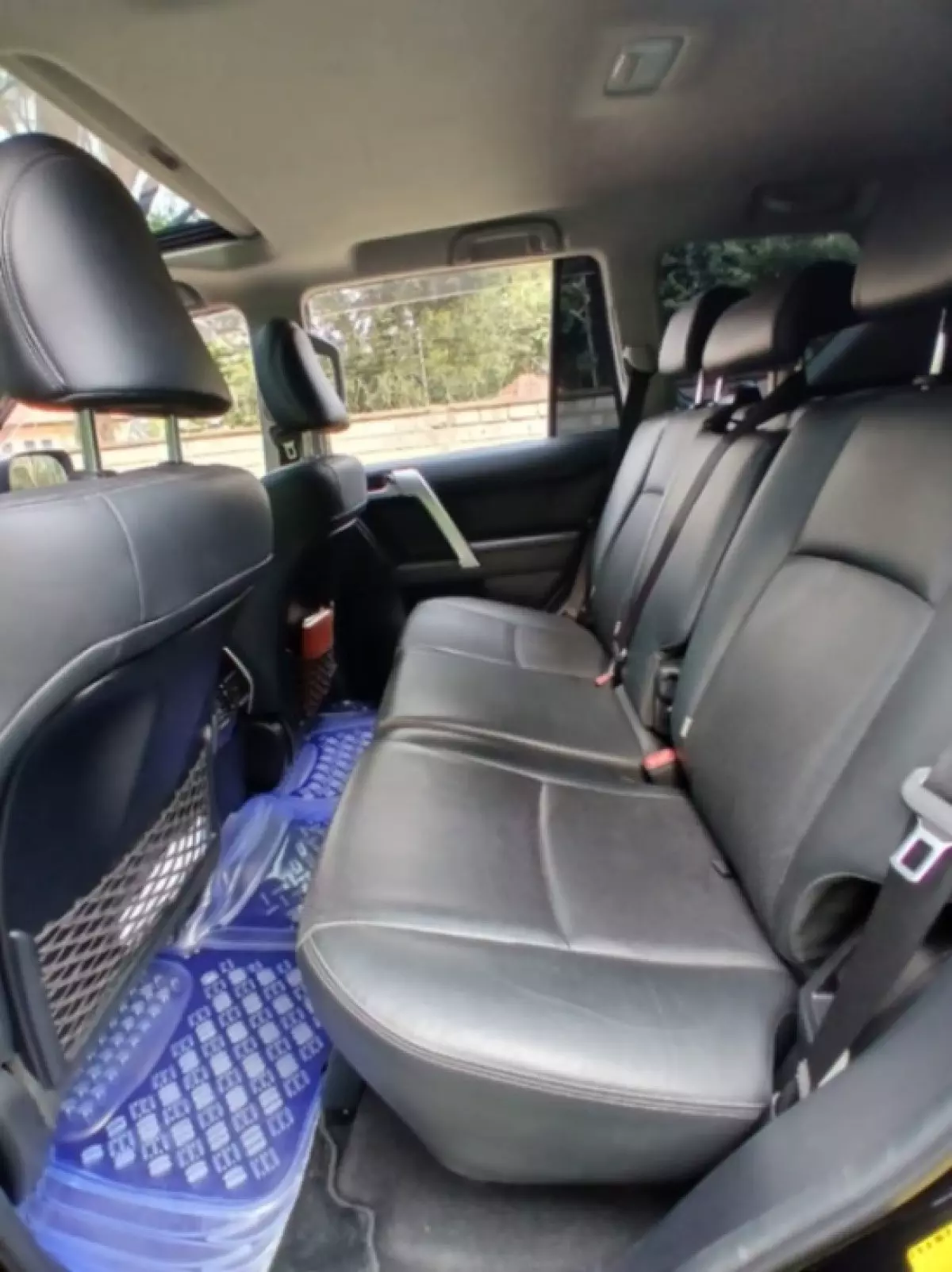 interiorBack
