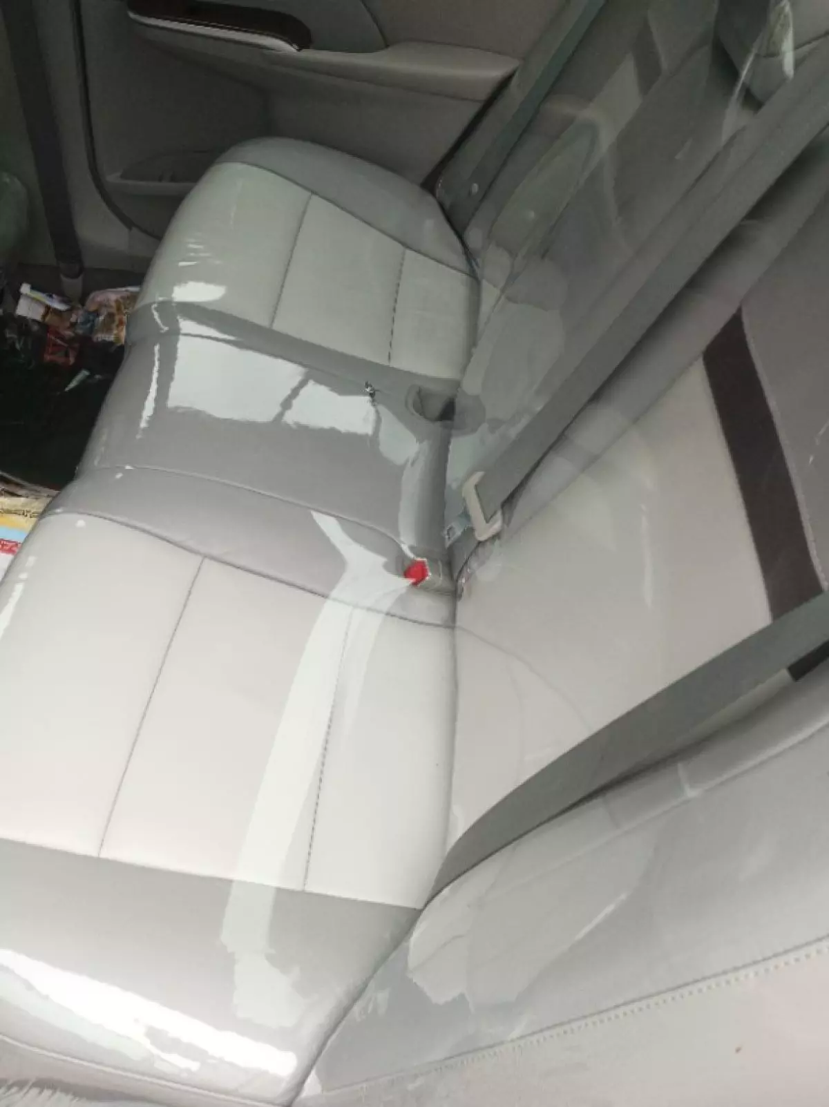 interiorBack