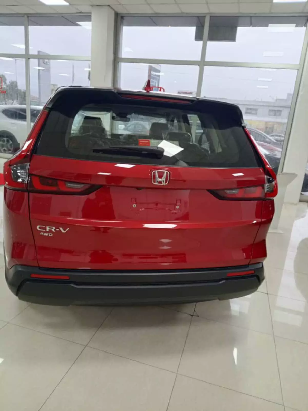 car Back