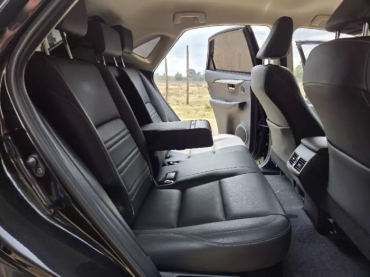 interiorBack