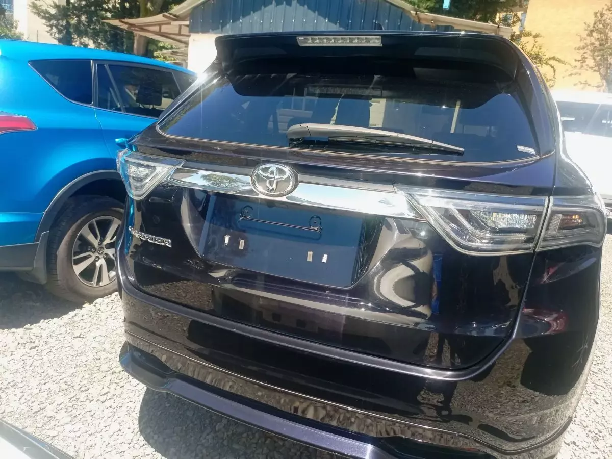 car Back