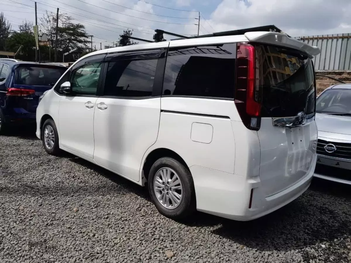 car Back