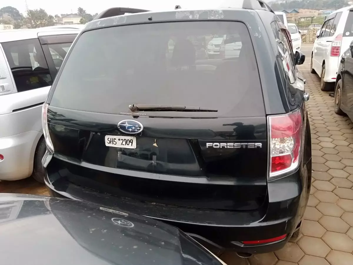 car Back