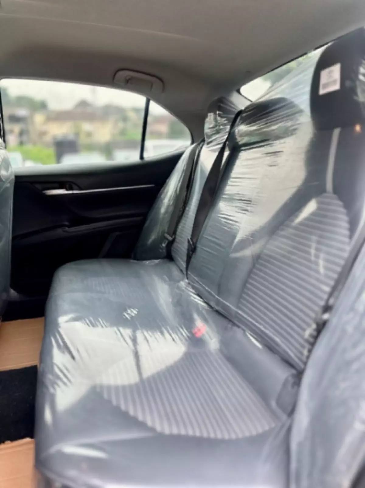 interiorBack