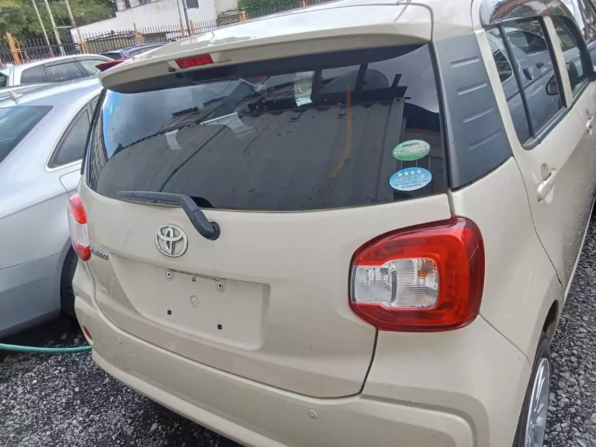 car Back
