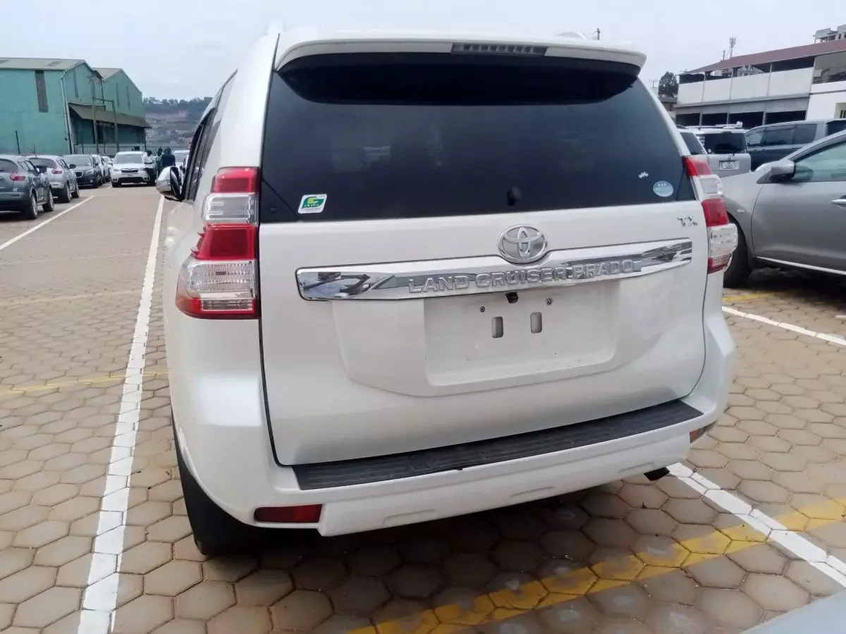 car Back