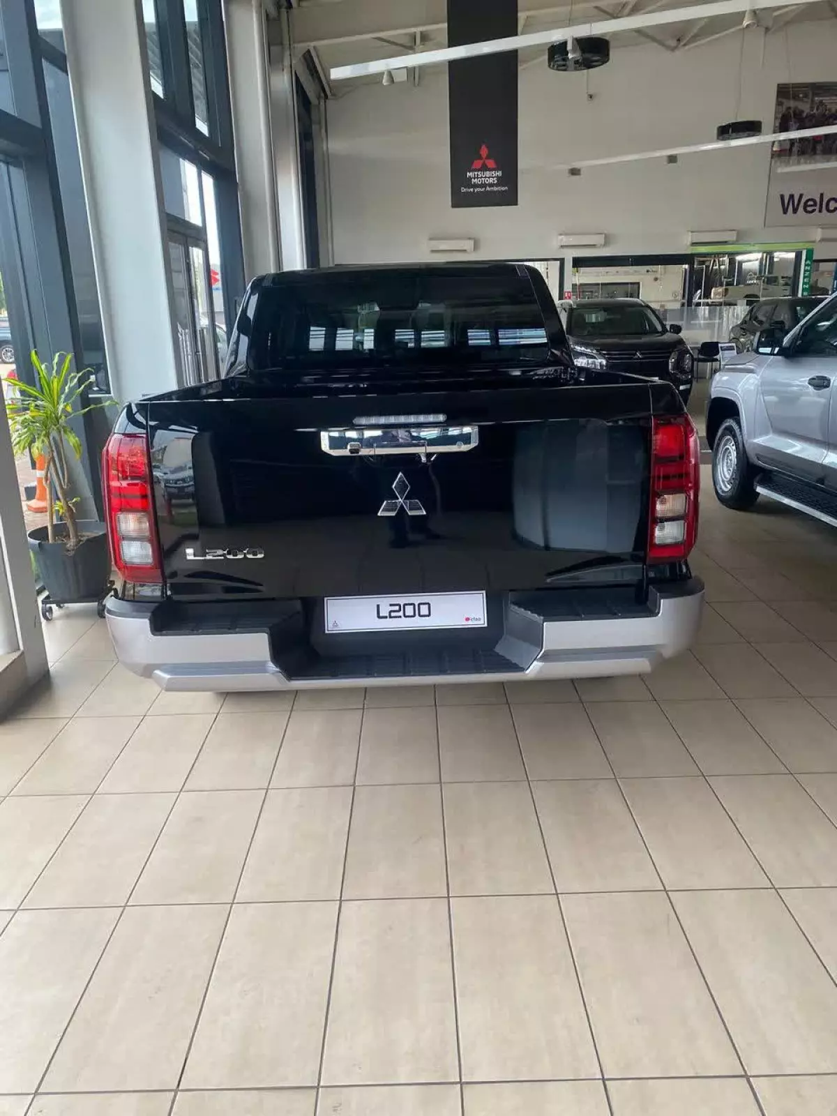 car Back