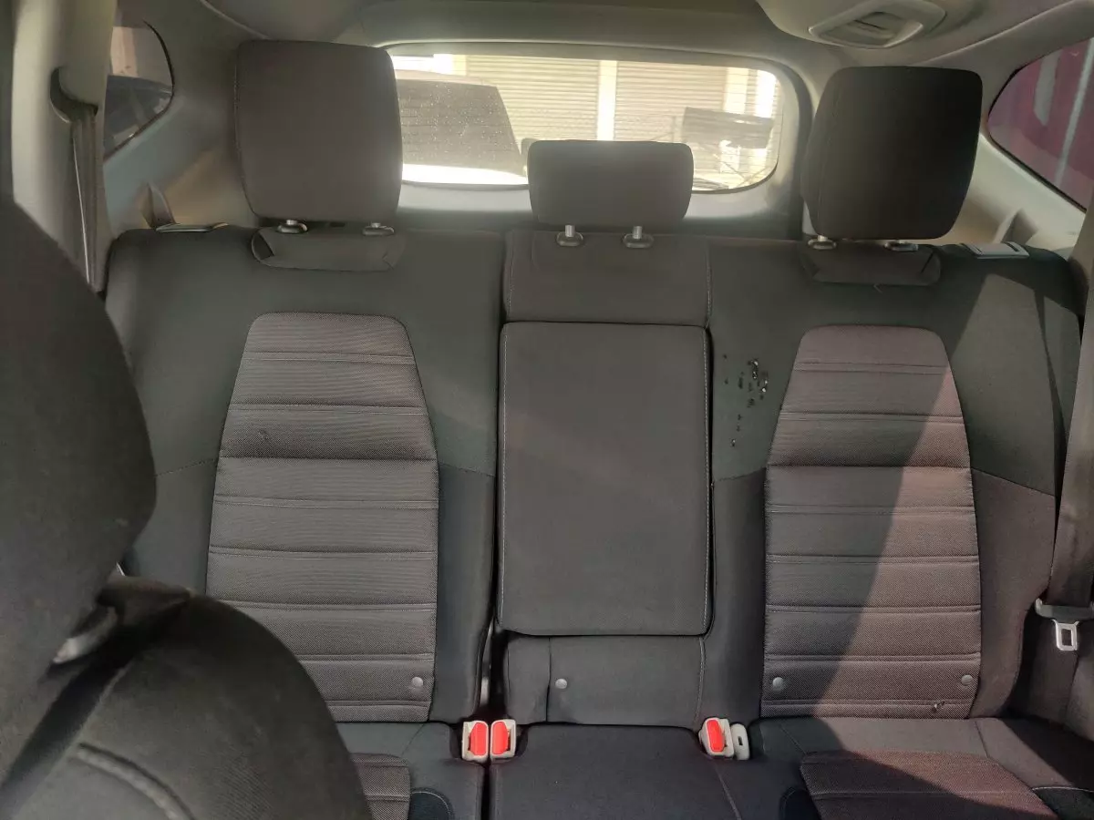 interiorBack
