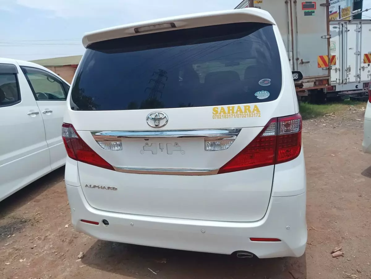 car Back