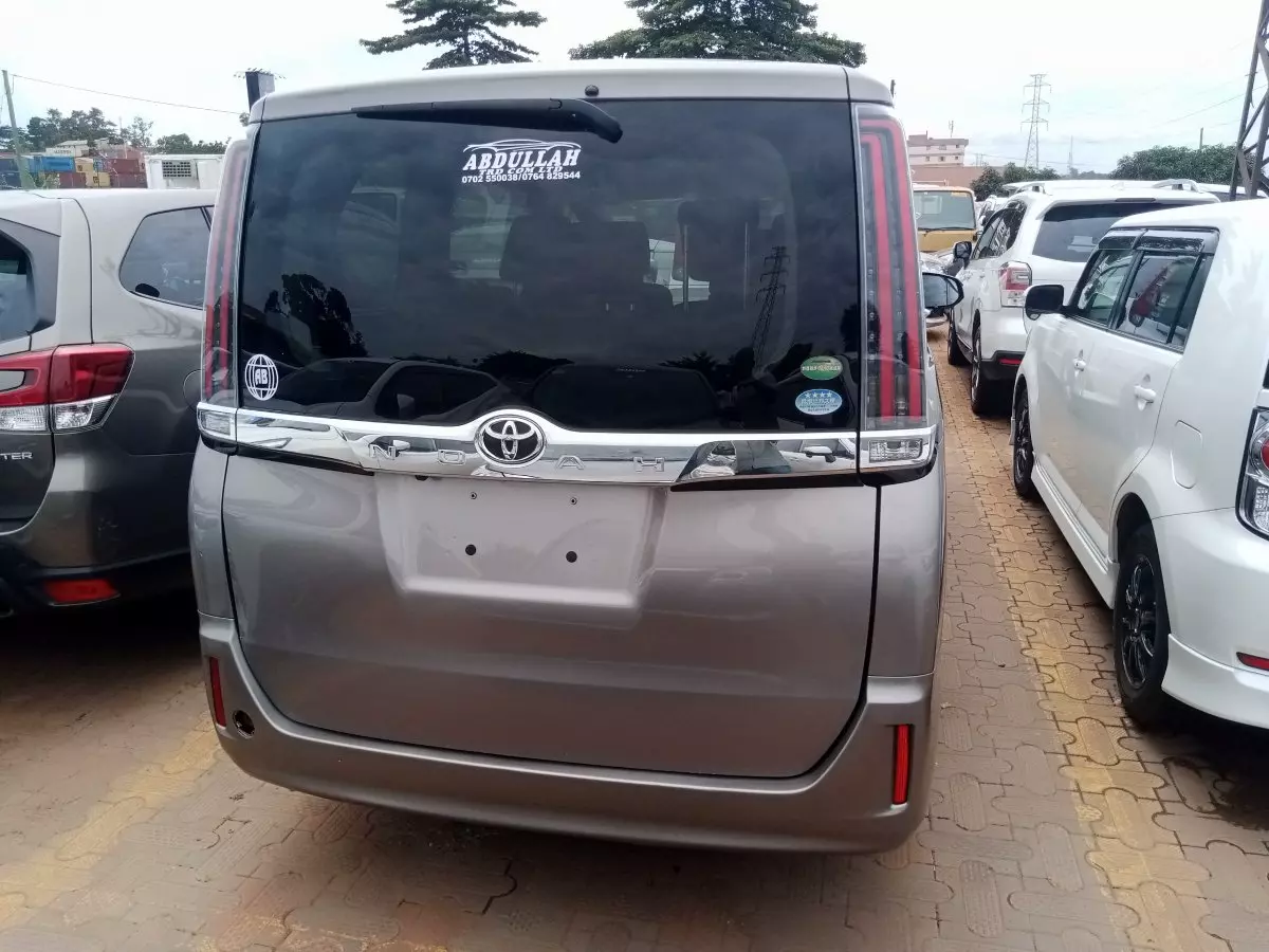 car Back