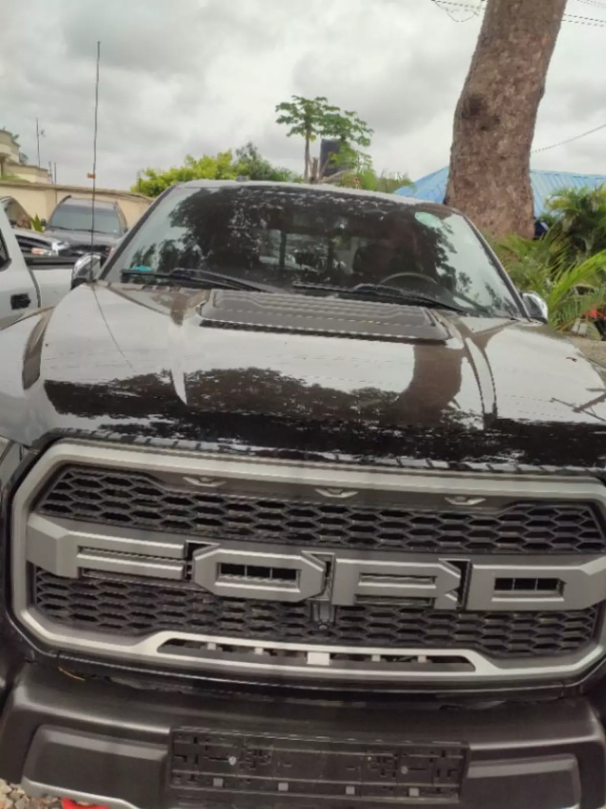 Ford Raptor - 2018