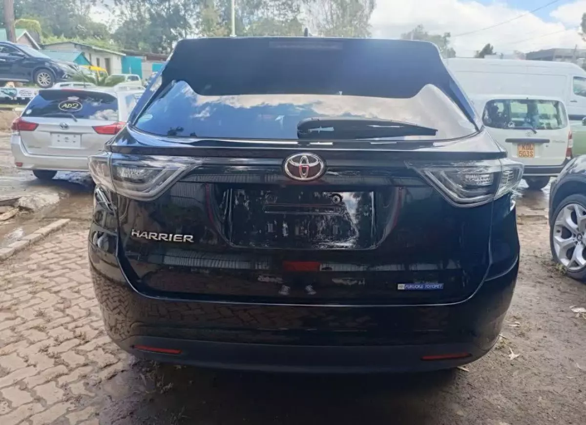 car Back
