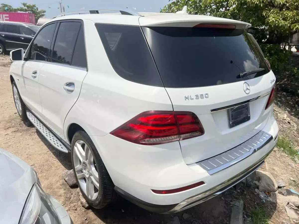 car Back