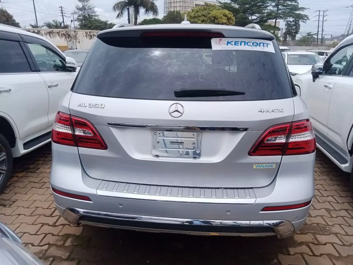 car Back