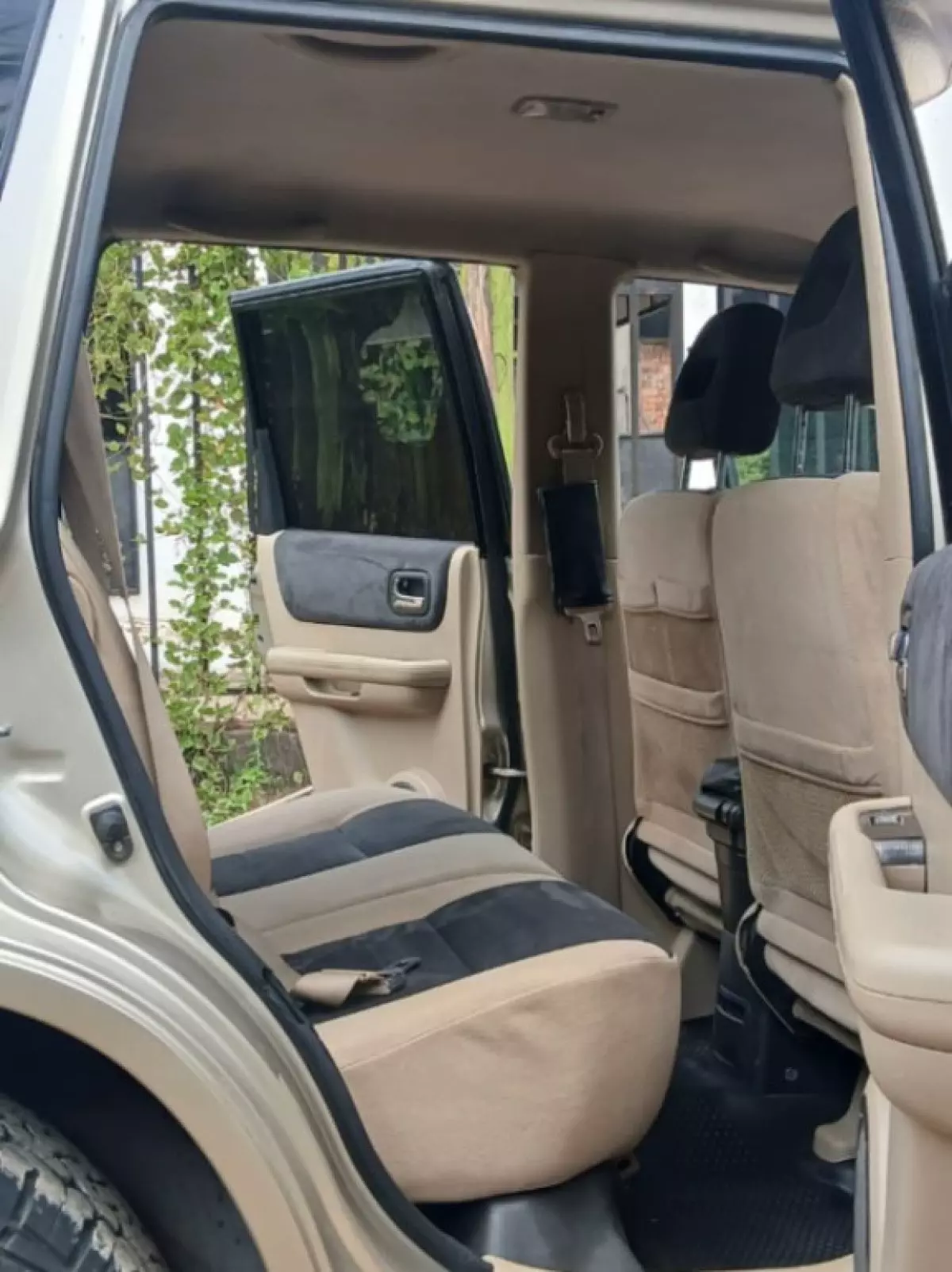 interiorBack