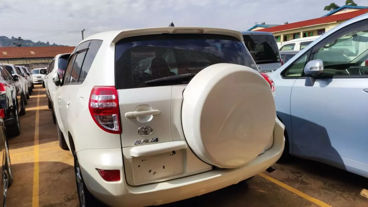 car Back