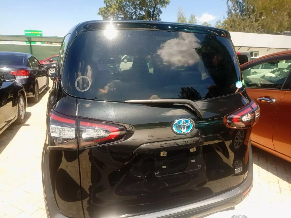 car Back