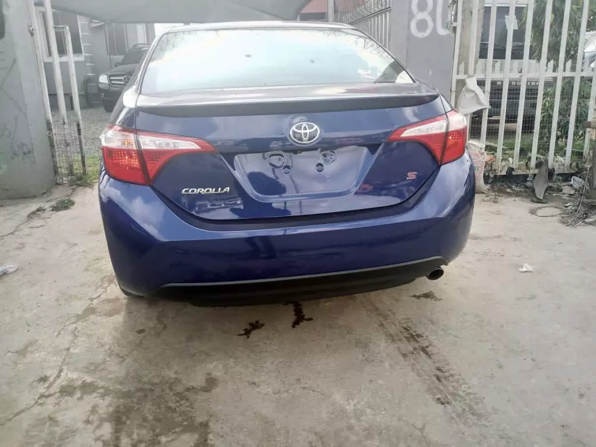 car Back