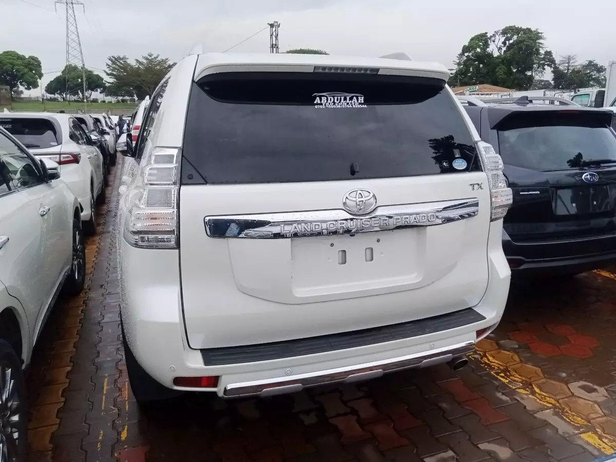 car Back