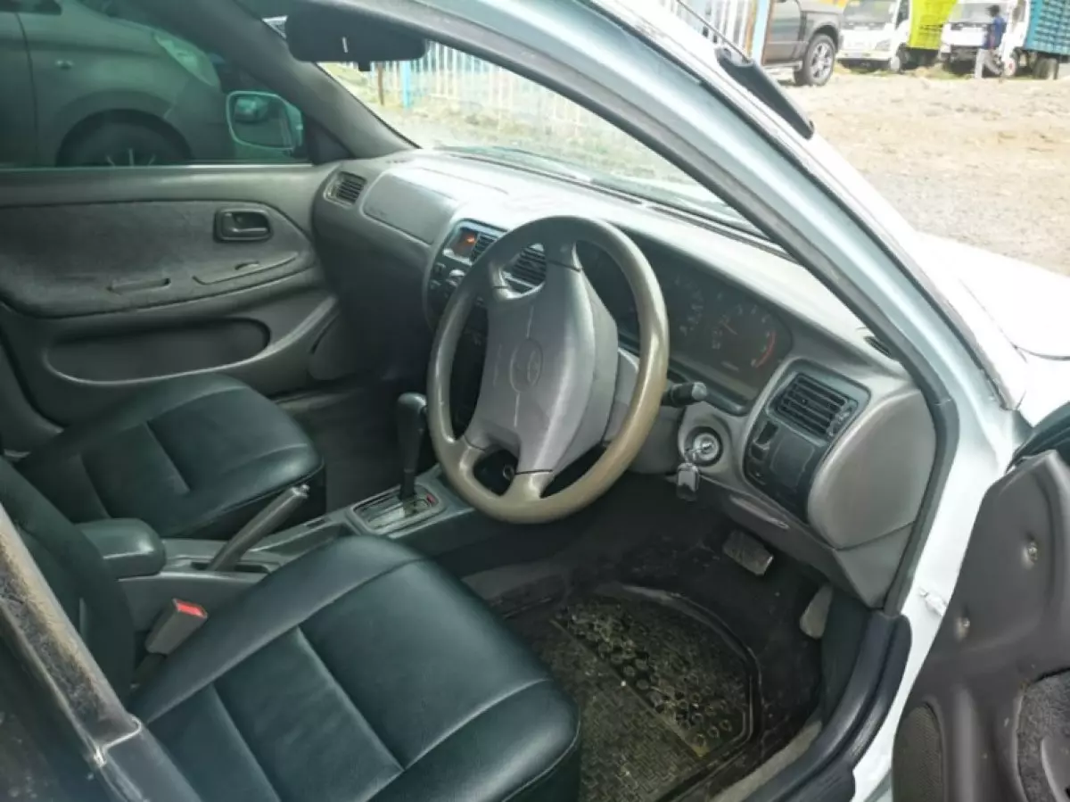 interiorBack