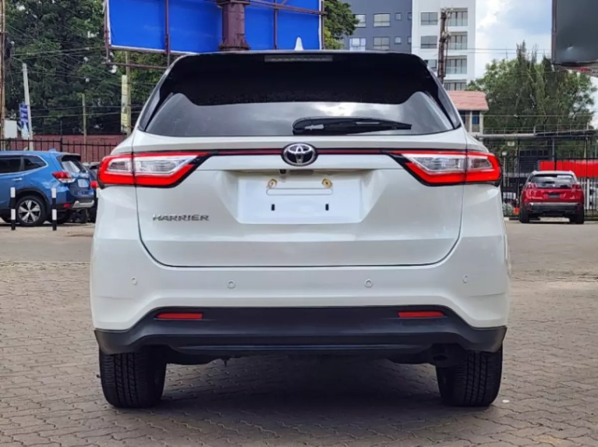 back