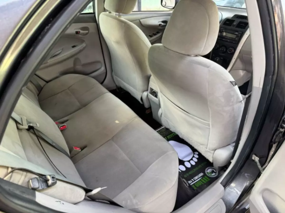 interiorBack