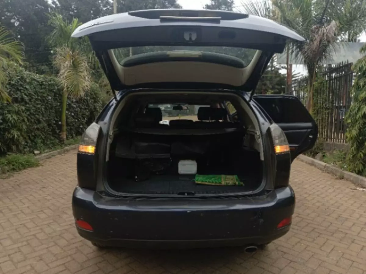 back