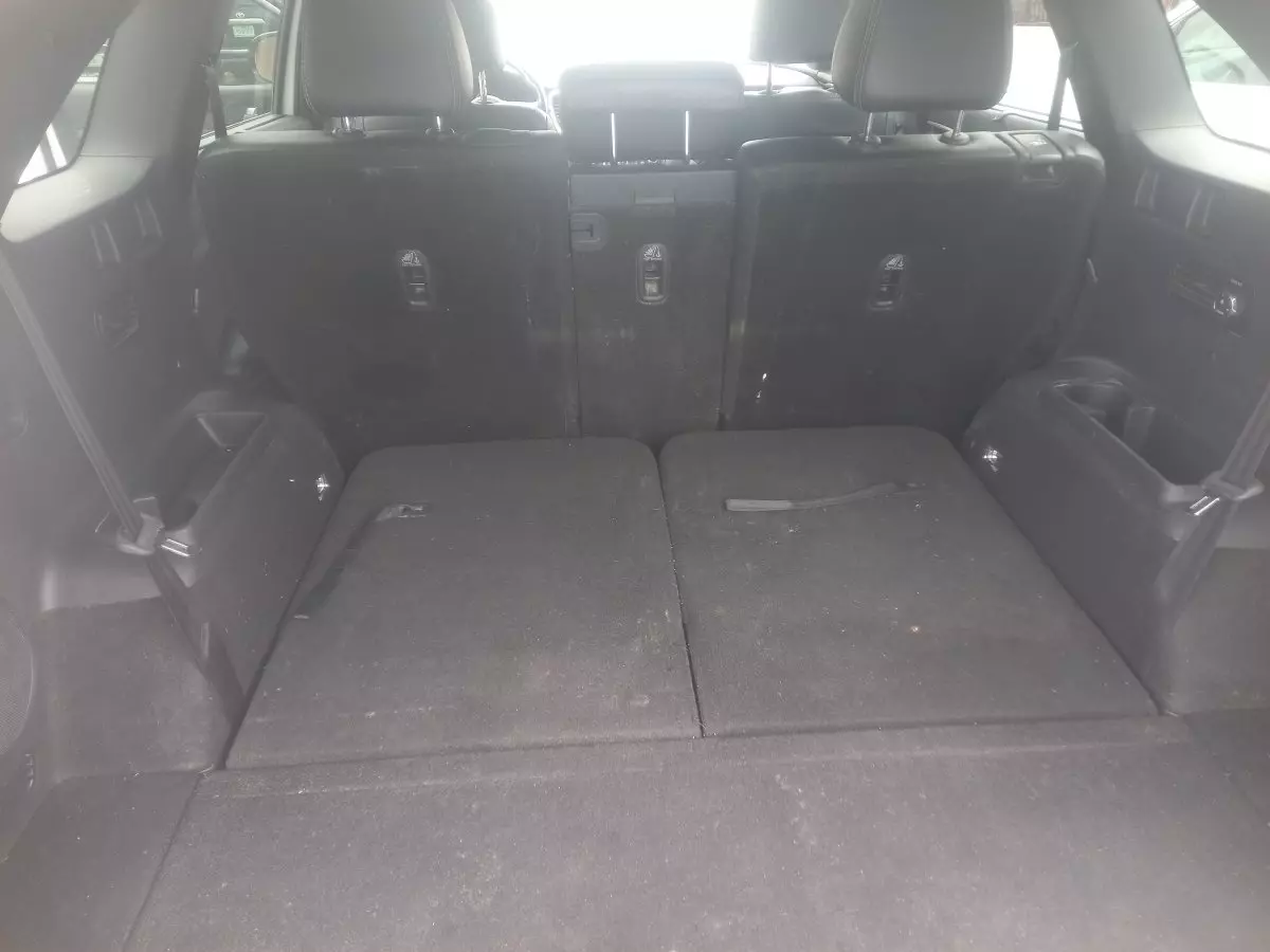 trunk