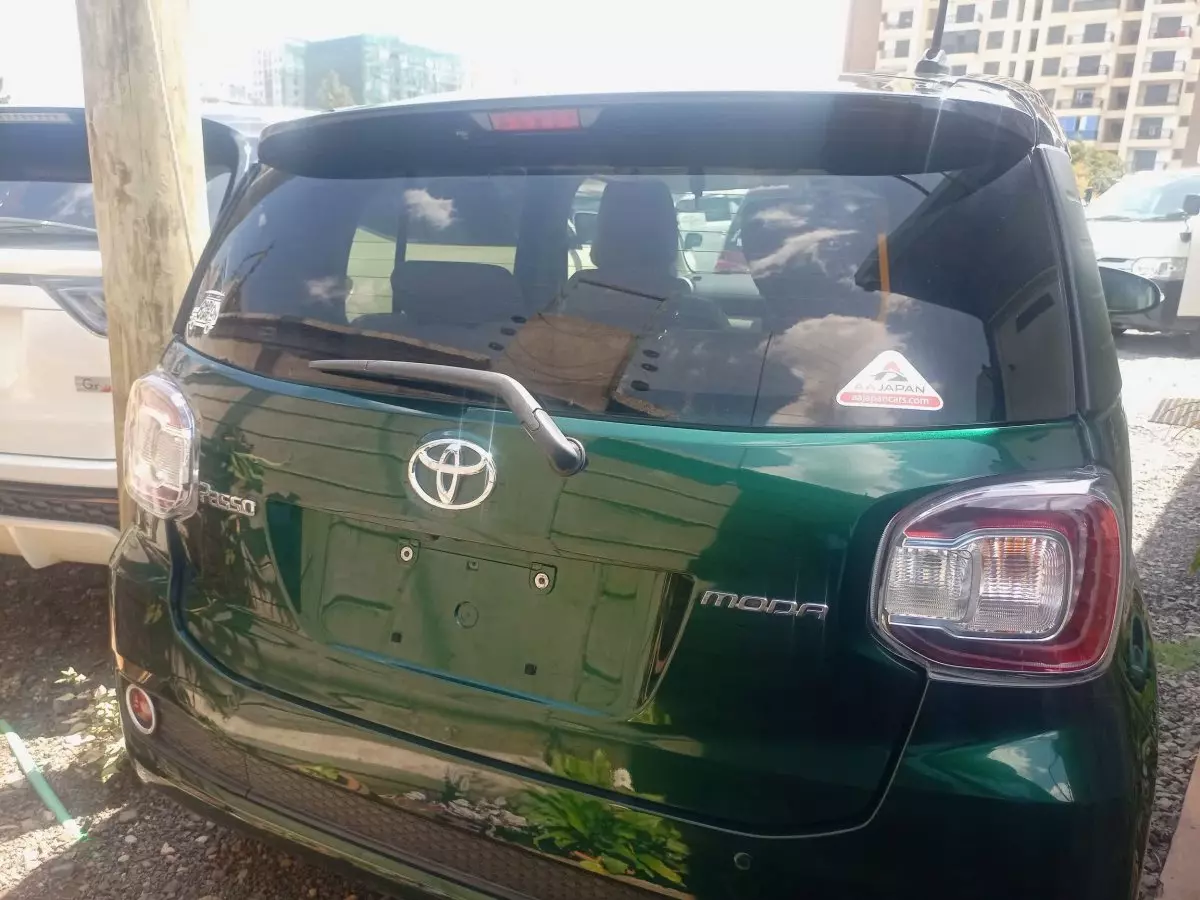 car Back
