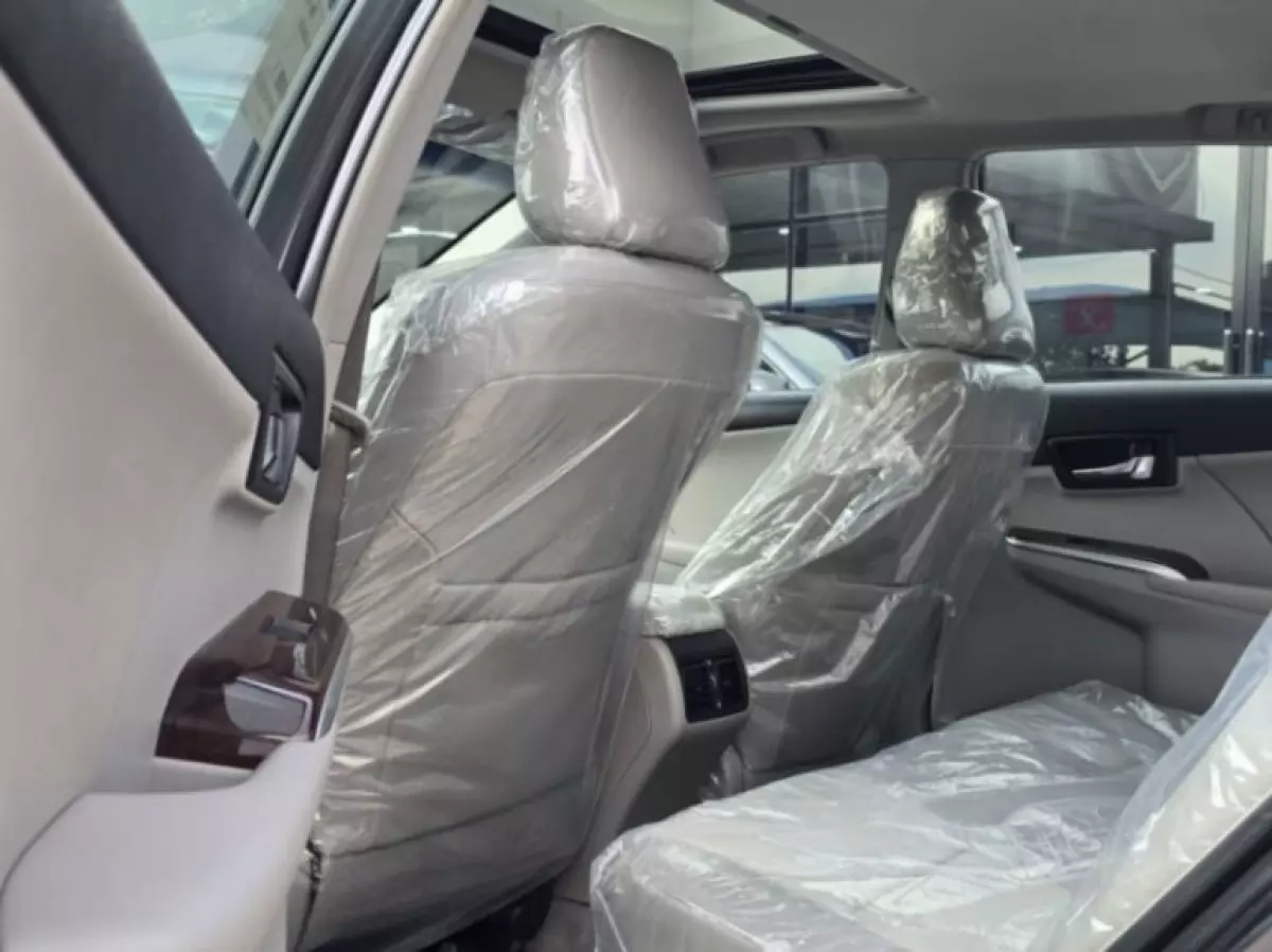 interiorBack