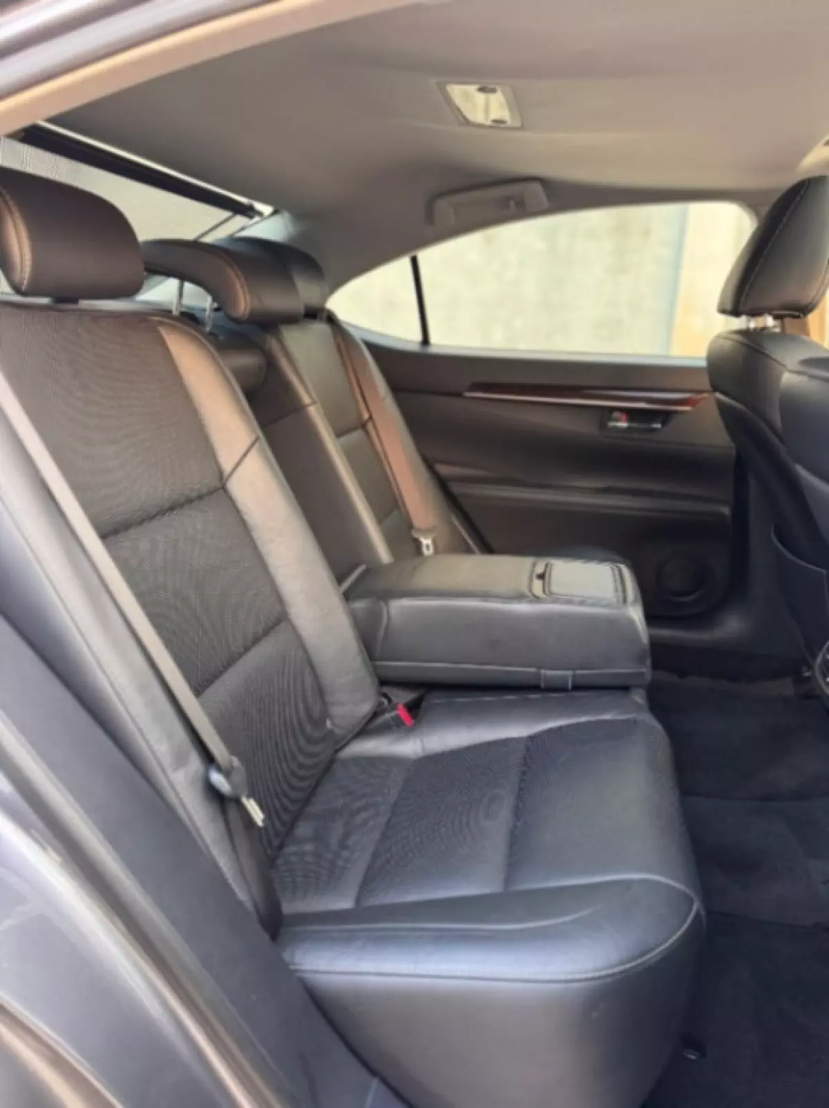 interiorBack