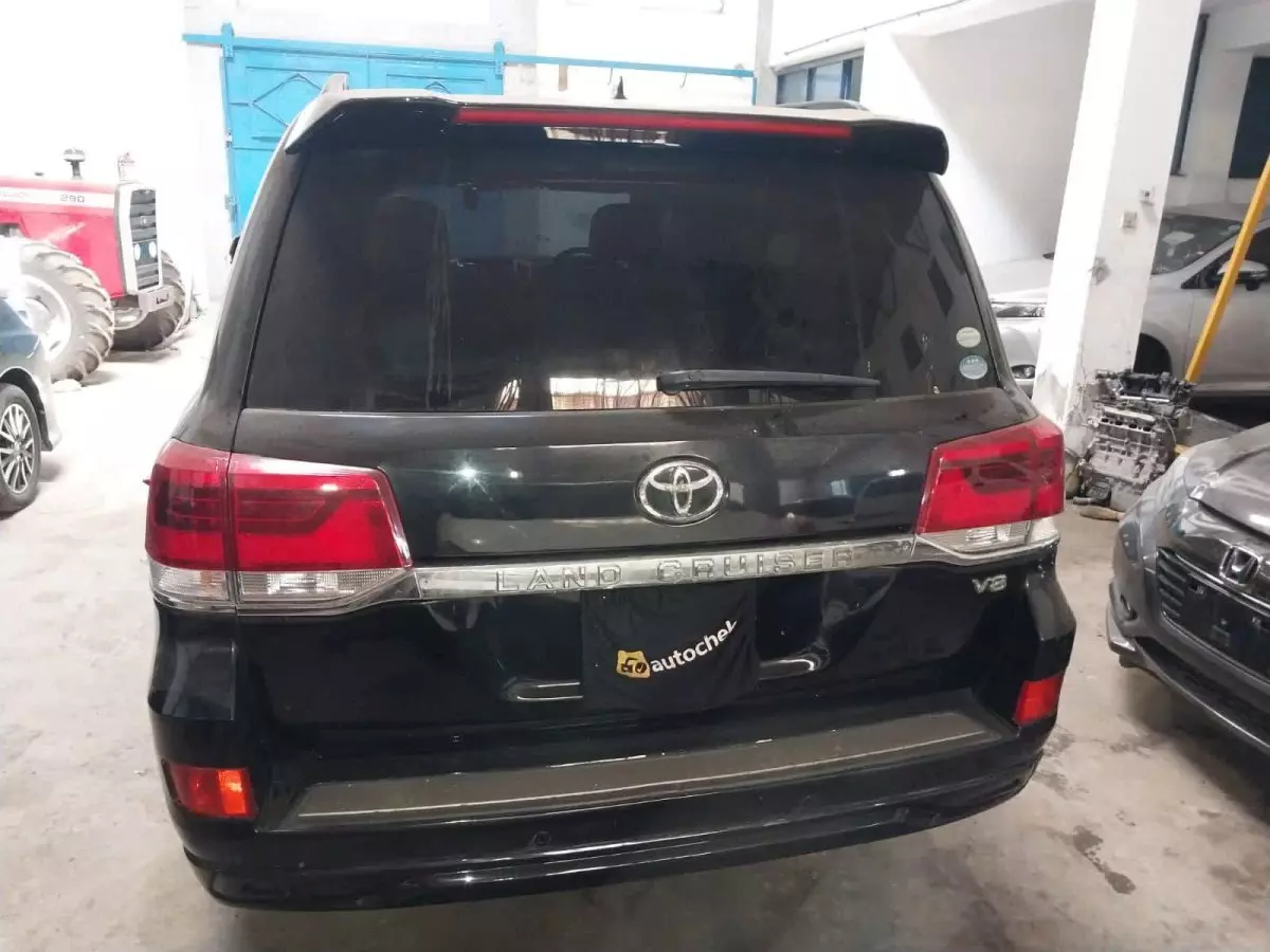 car Back