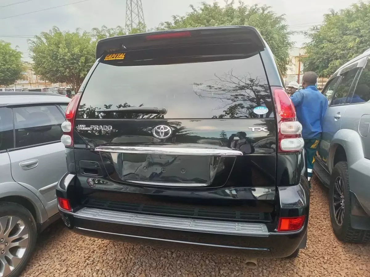 car Back