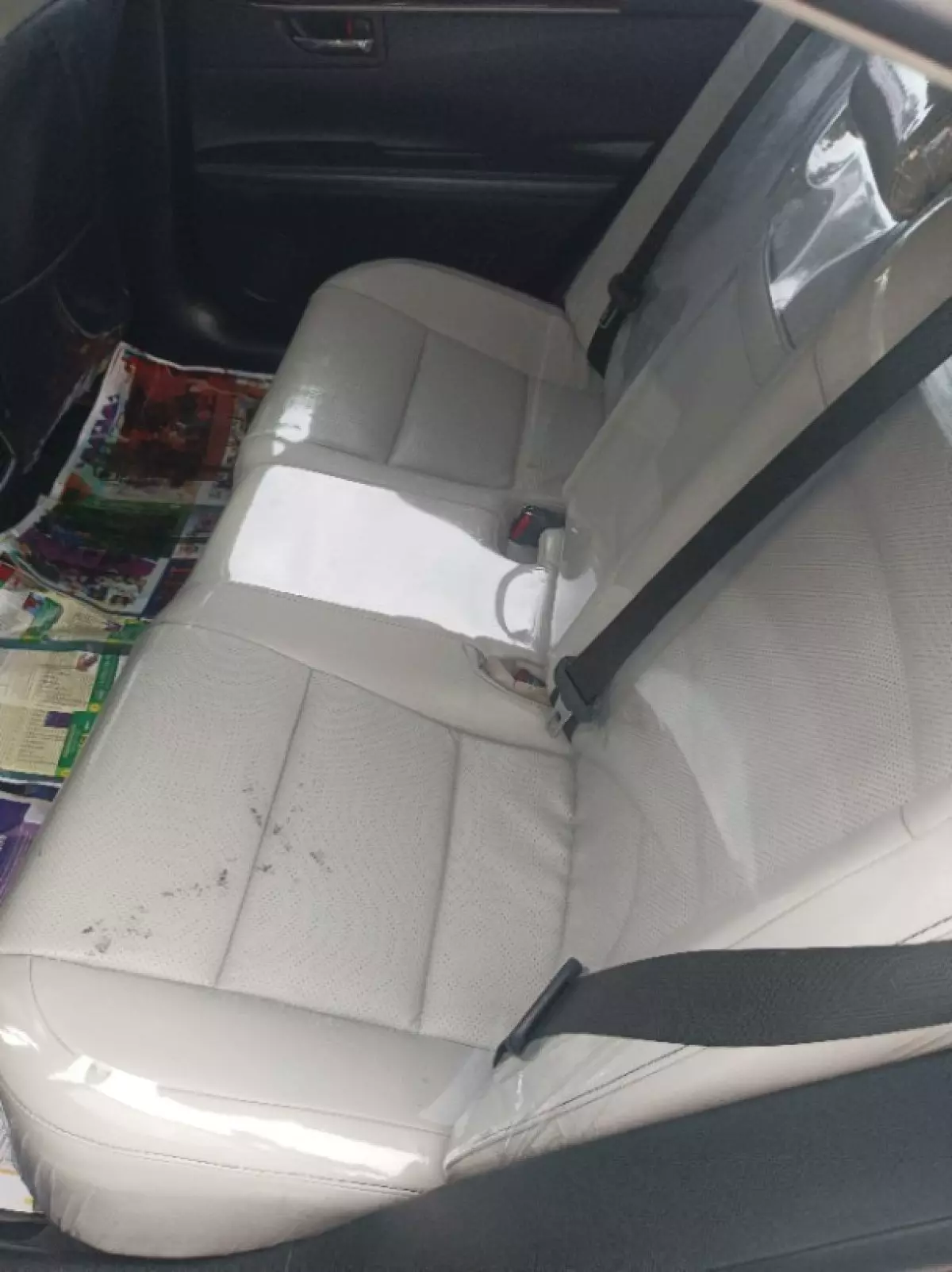 interiorBack