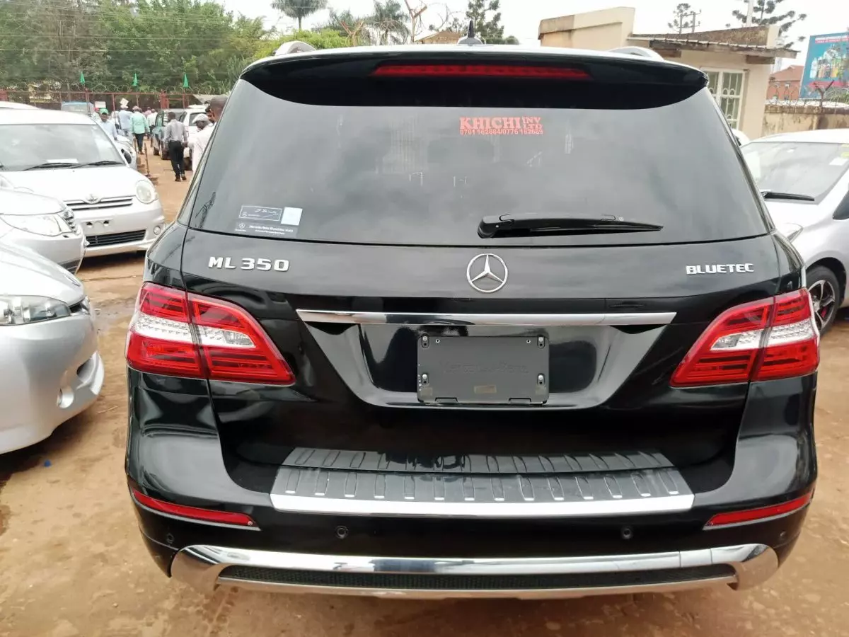 car Back