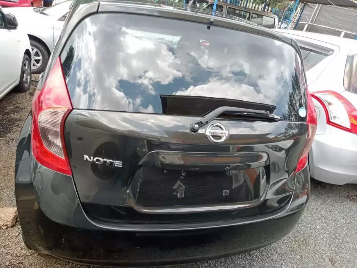 car Back