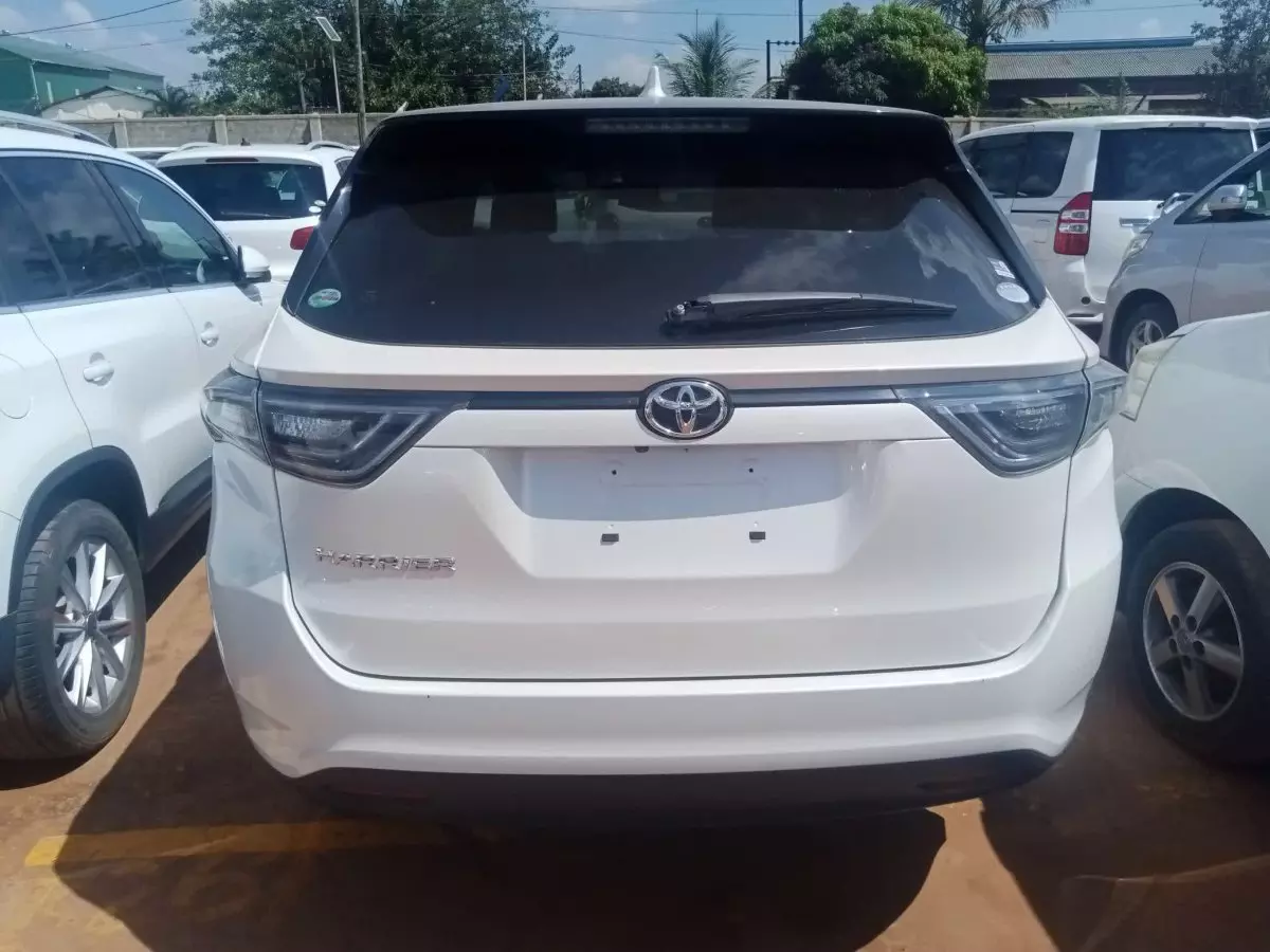 car Back
