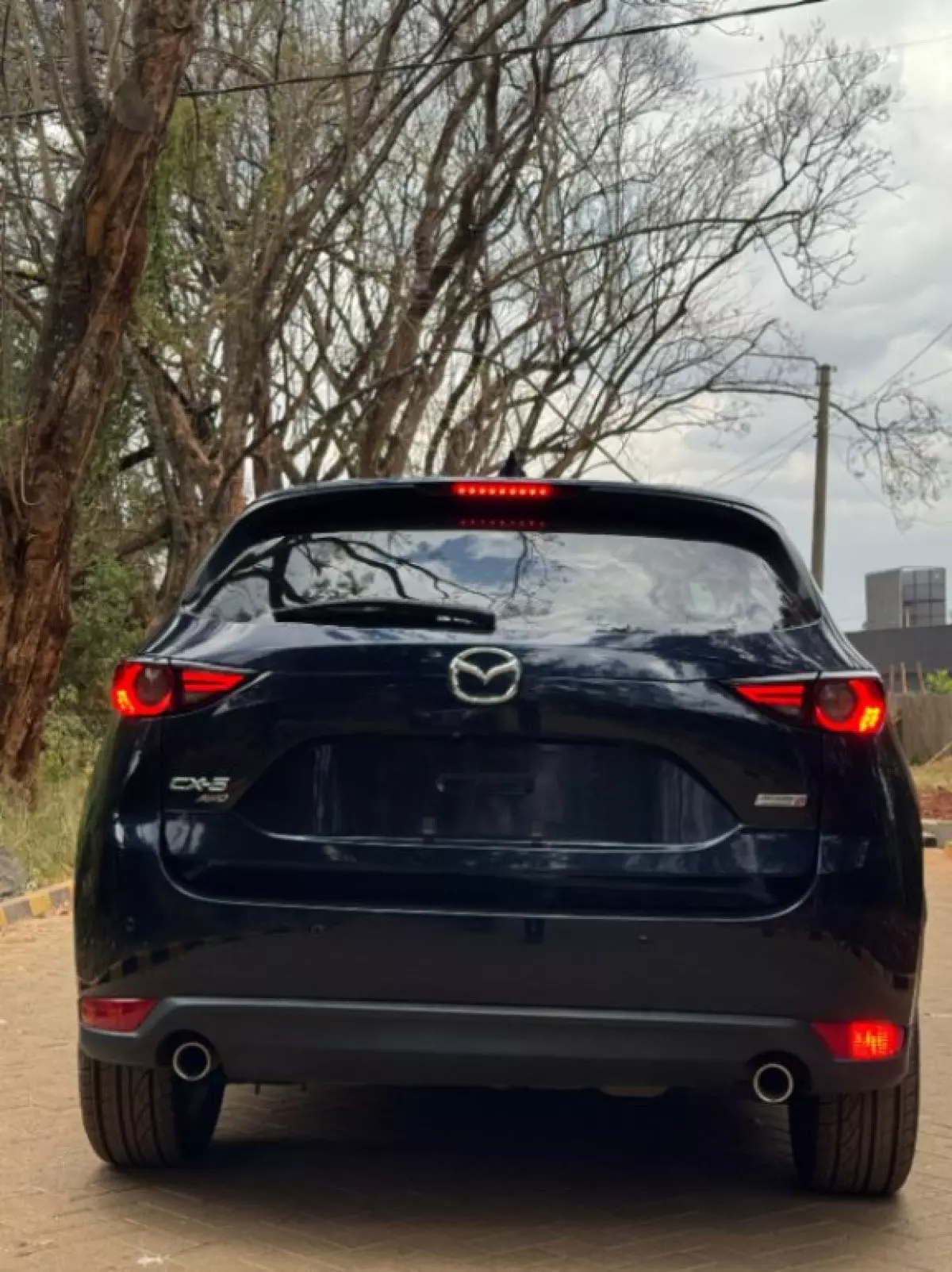 back