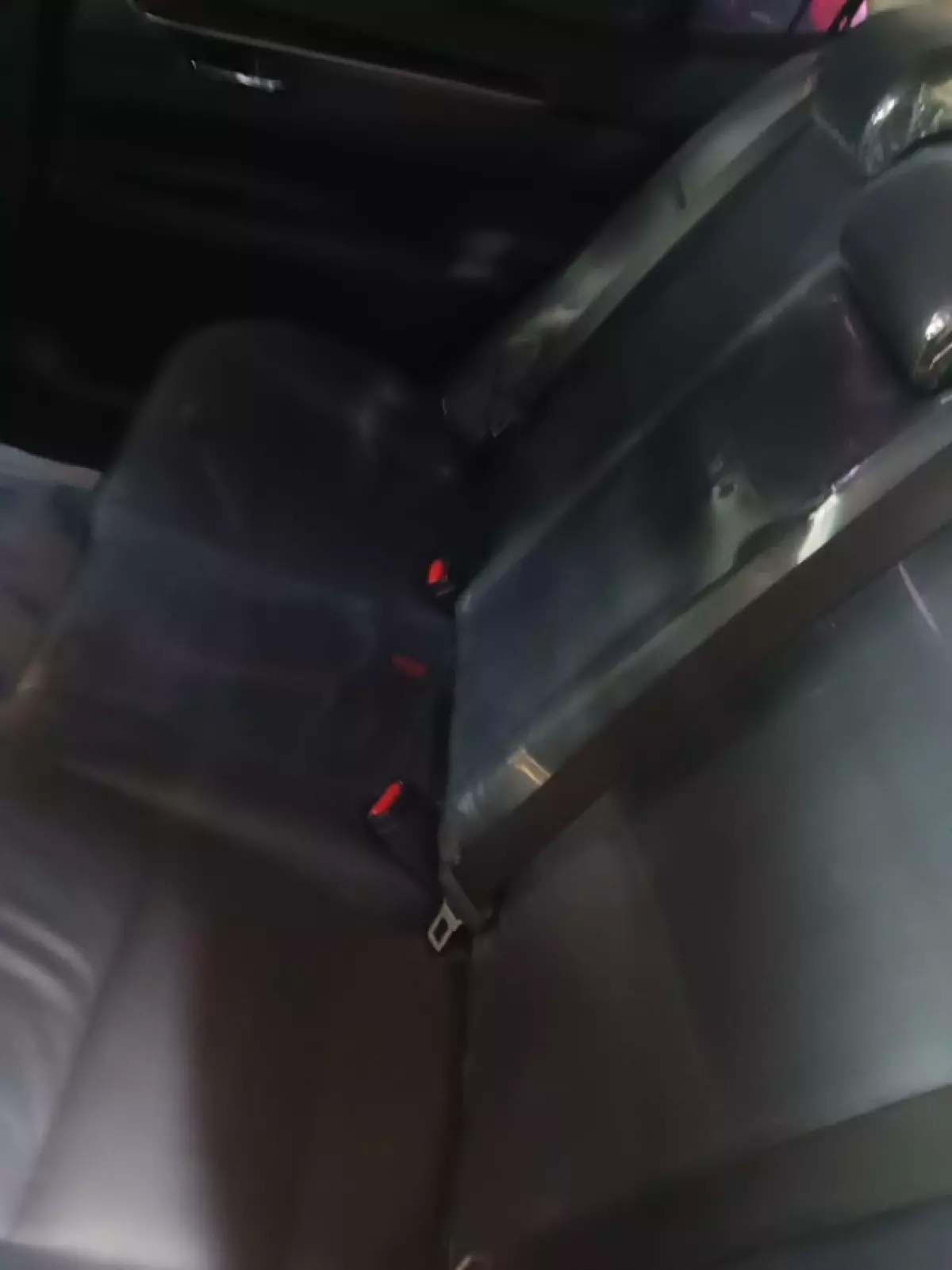 interiorBack