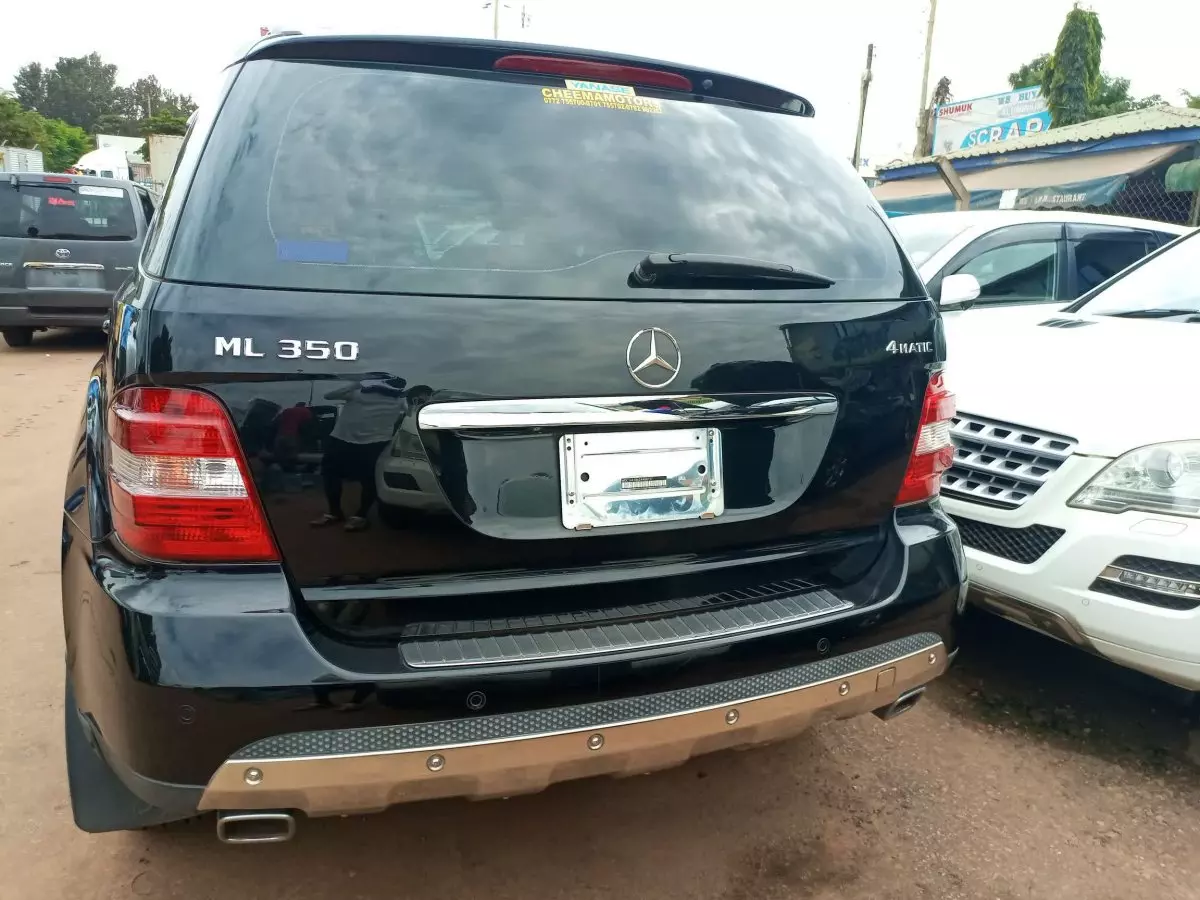 car Back