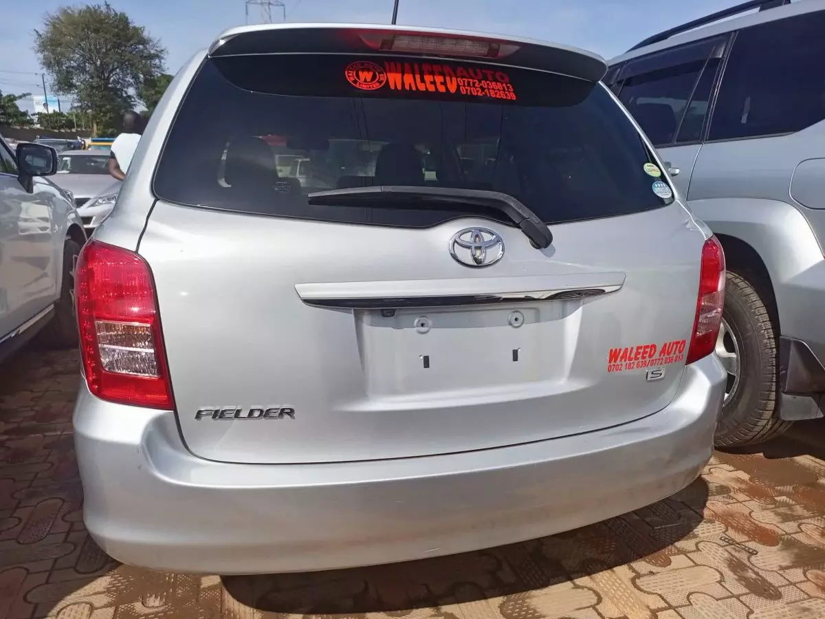 car Back
