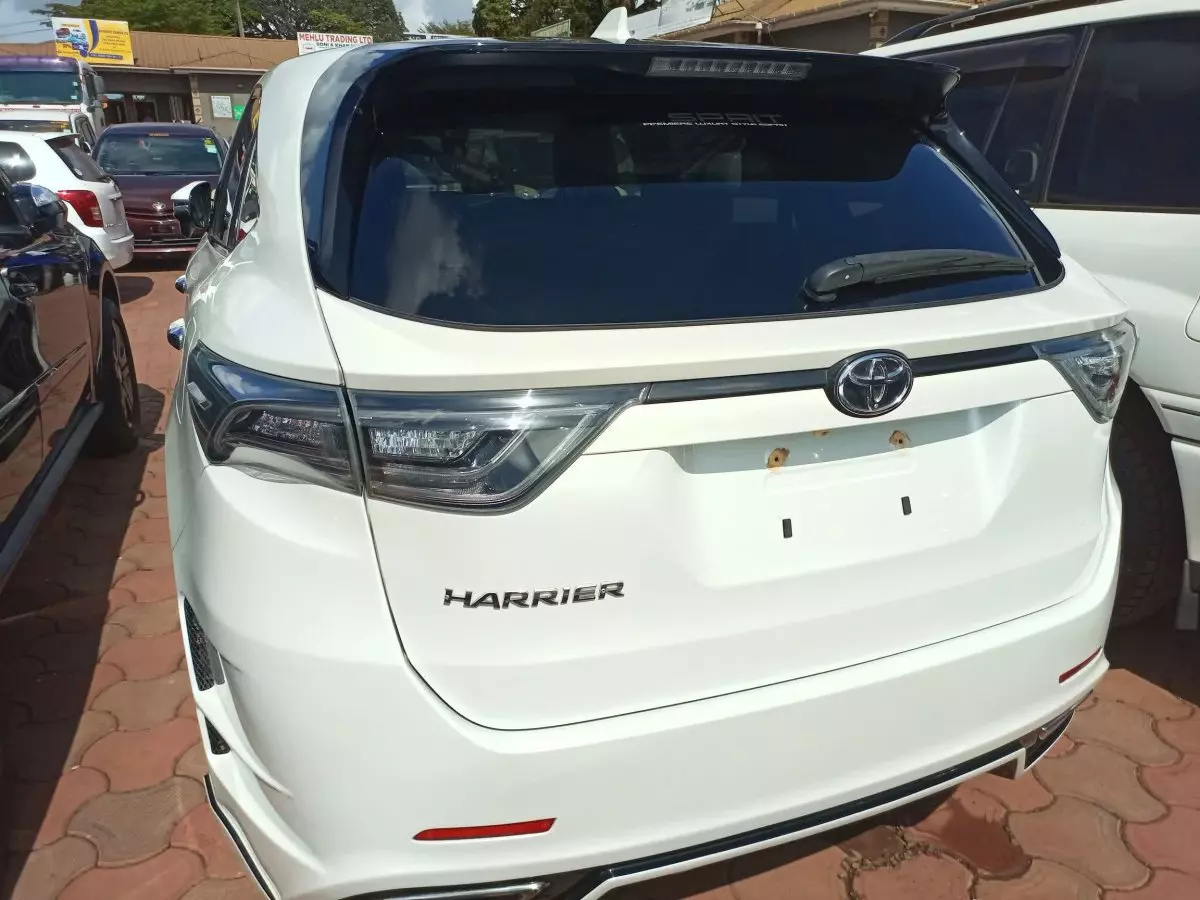 car Back