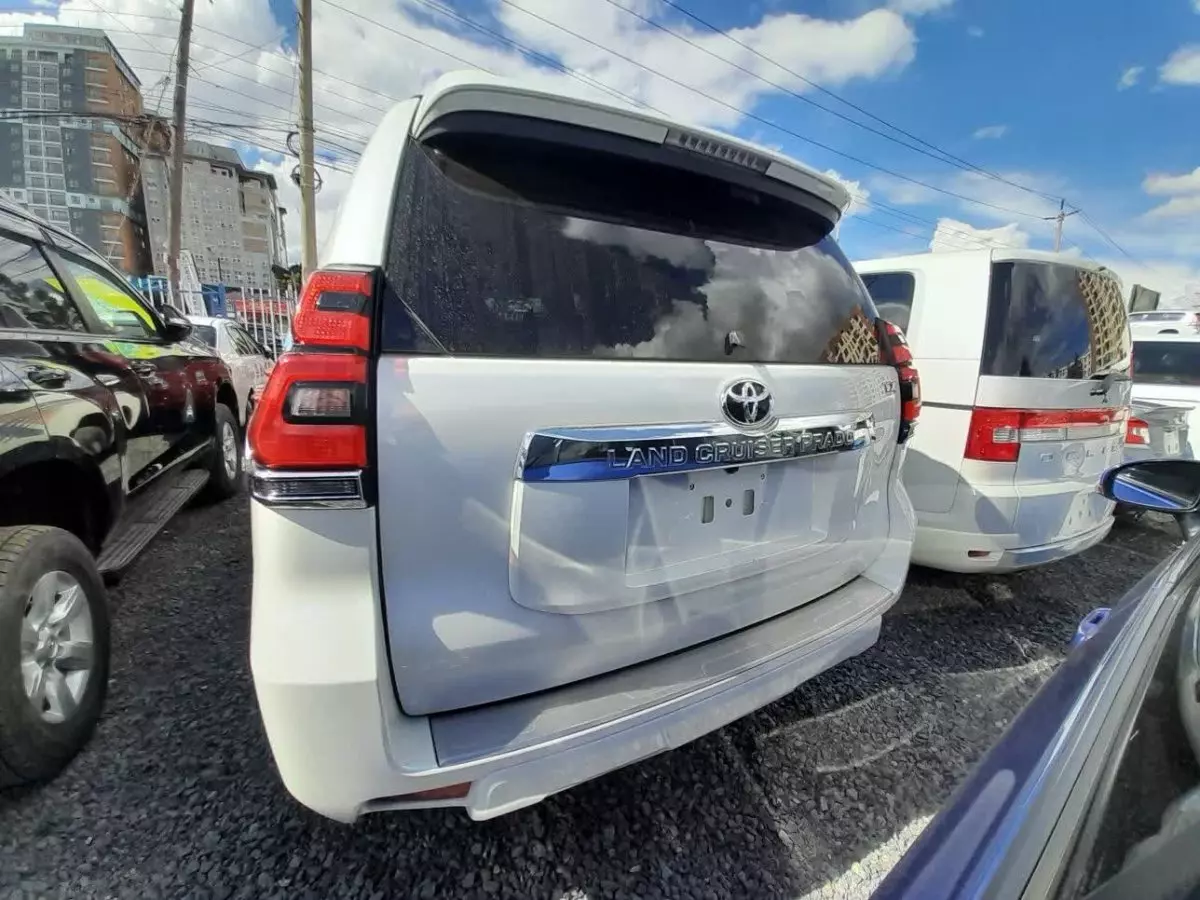 car Back