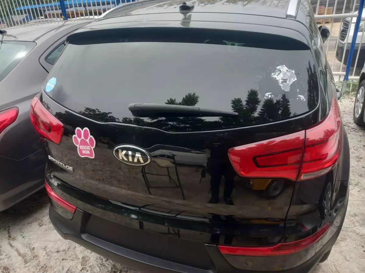 car Back