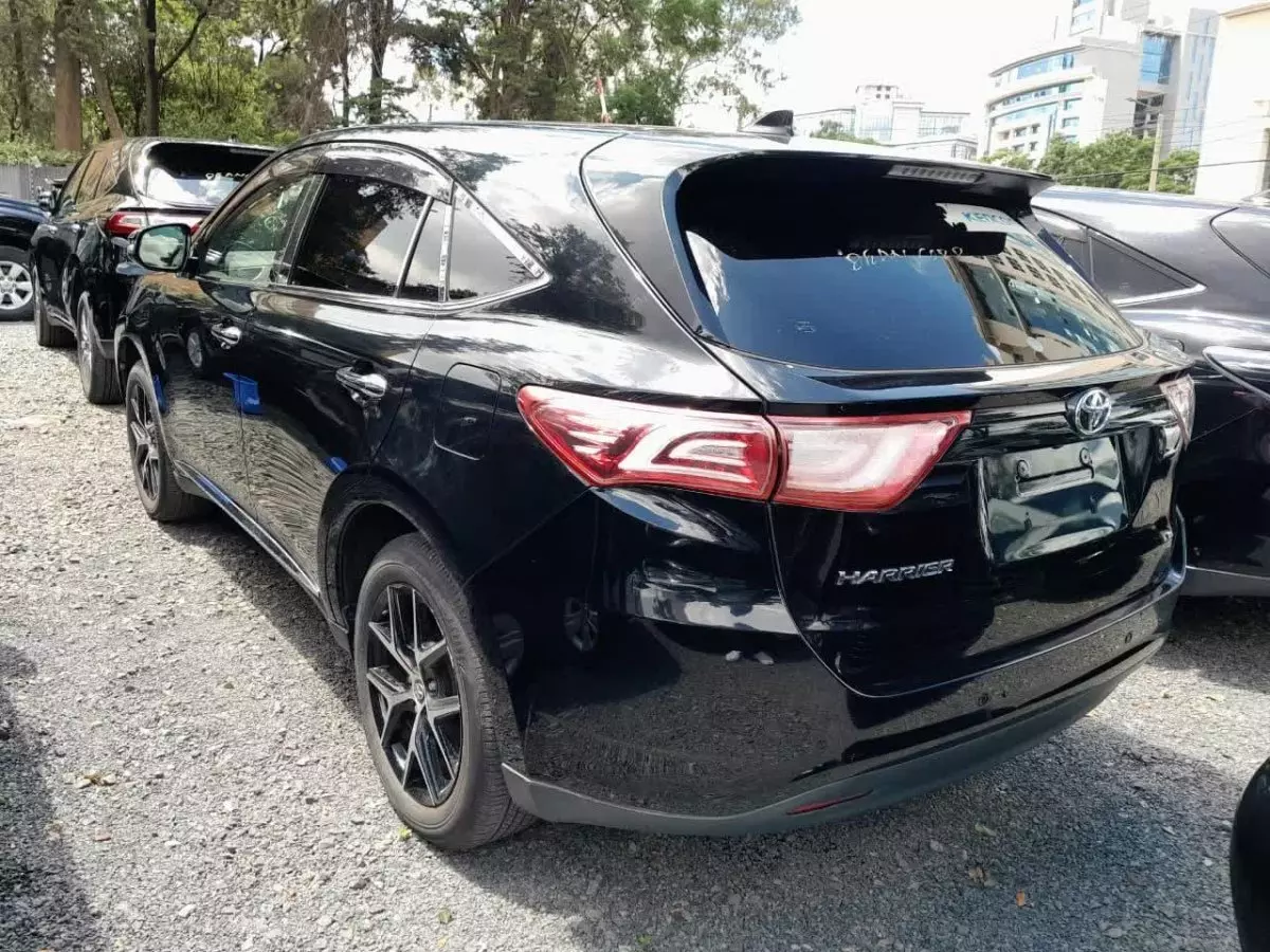 car Back
