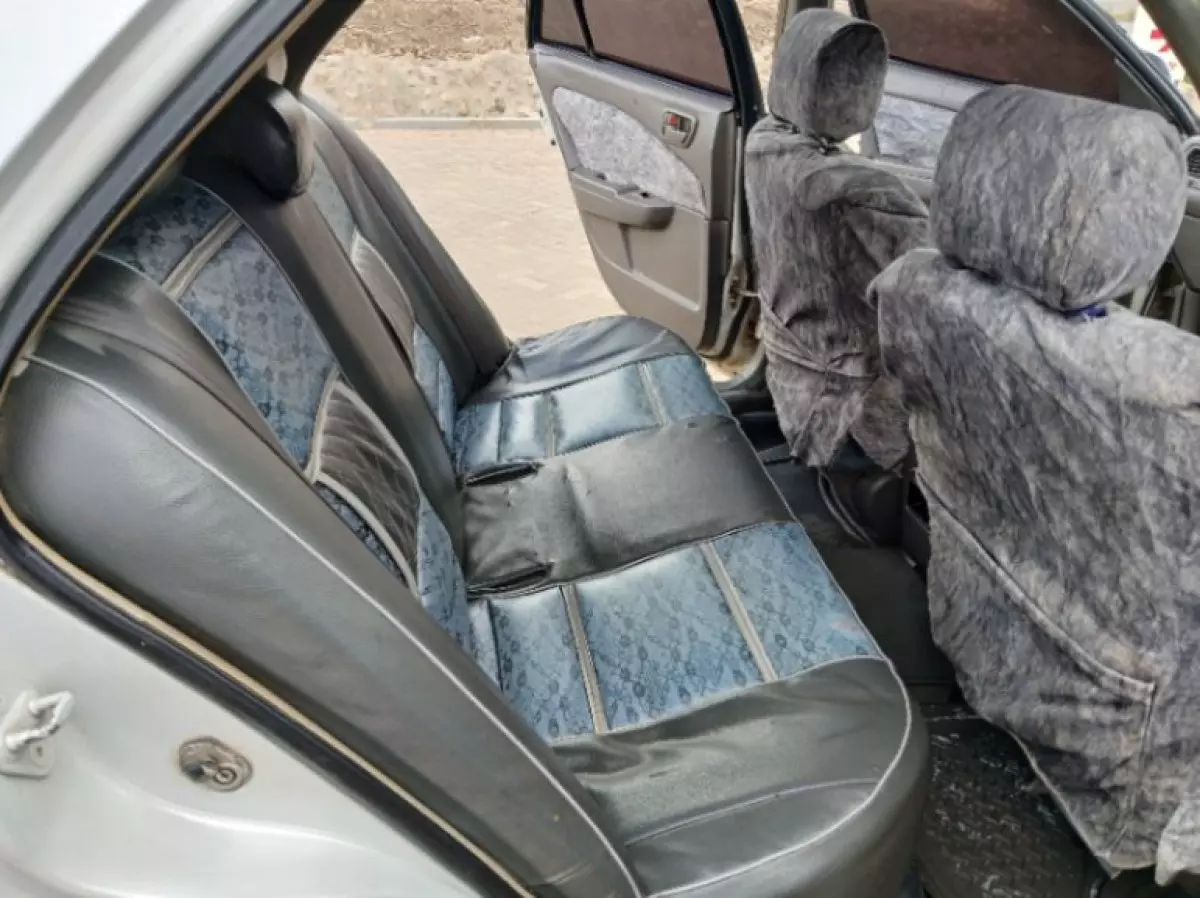 interiorBack