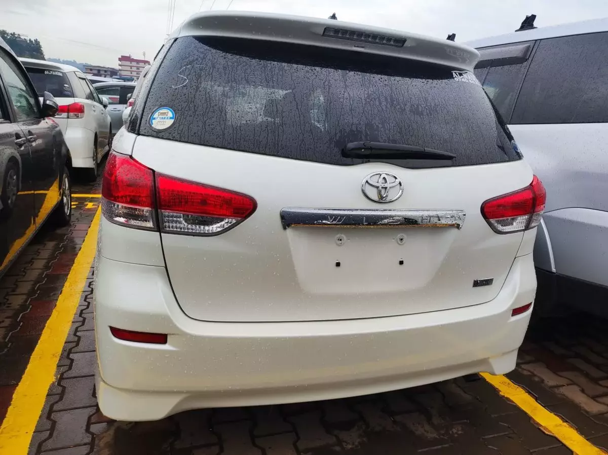 car Back