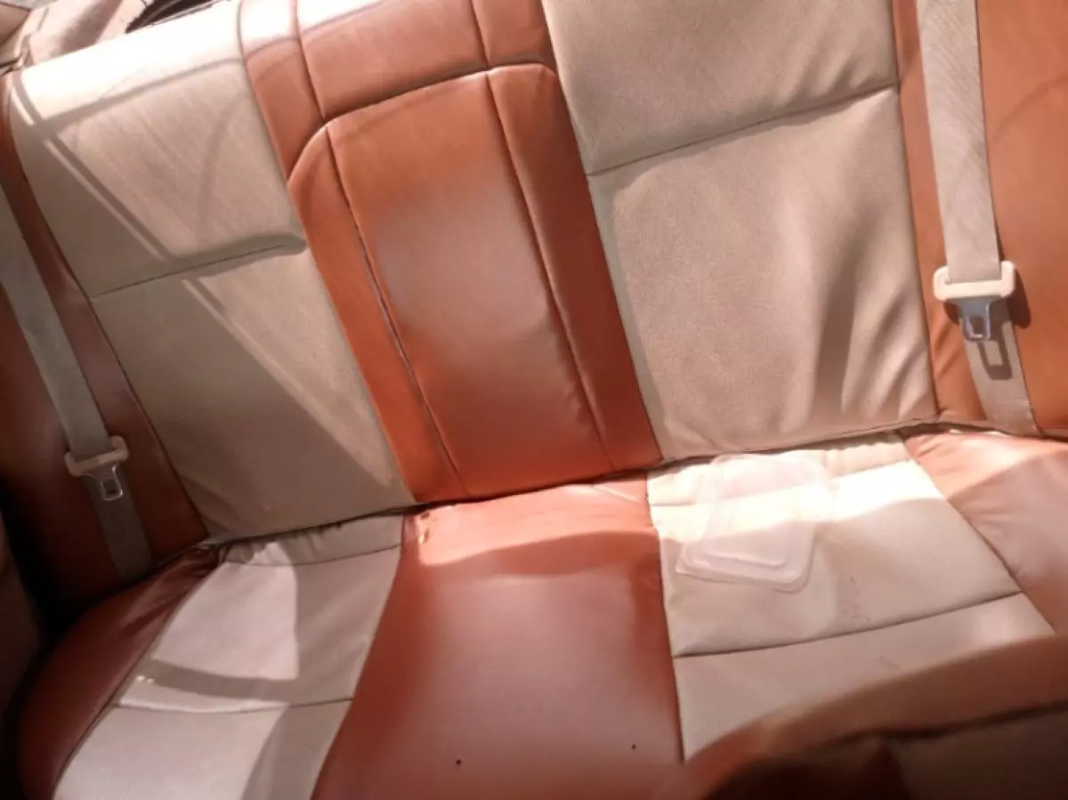 interiorBack