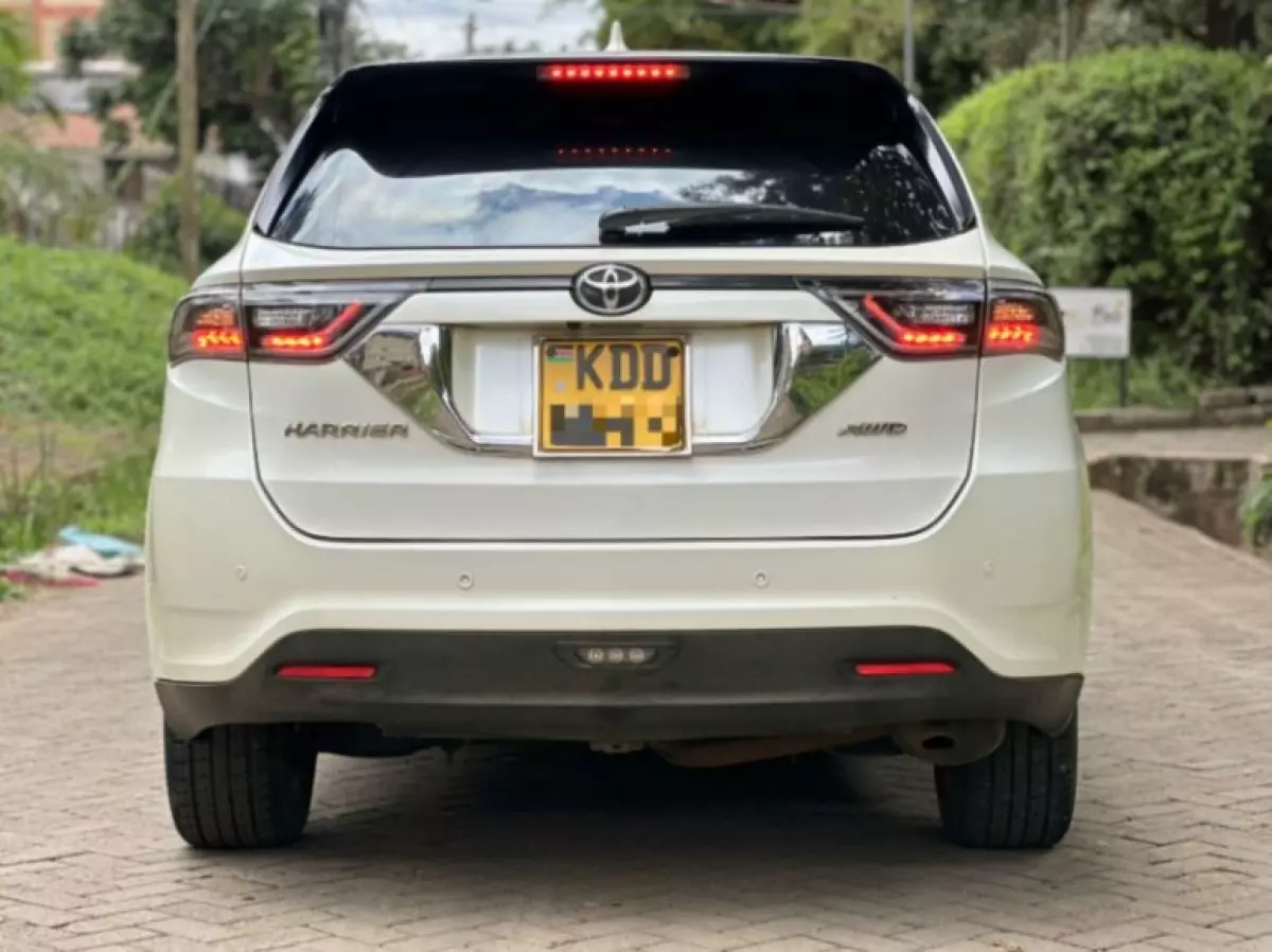back