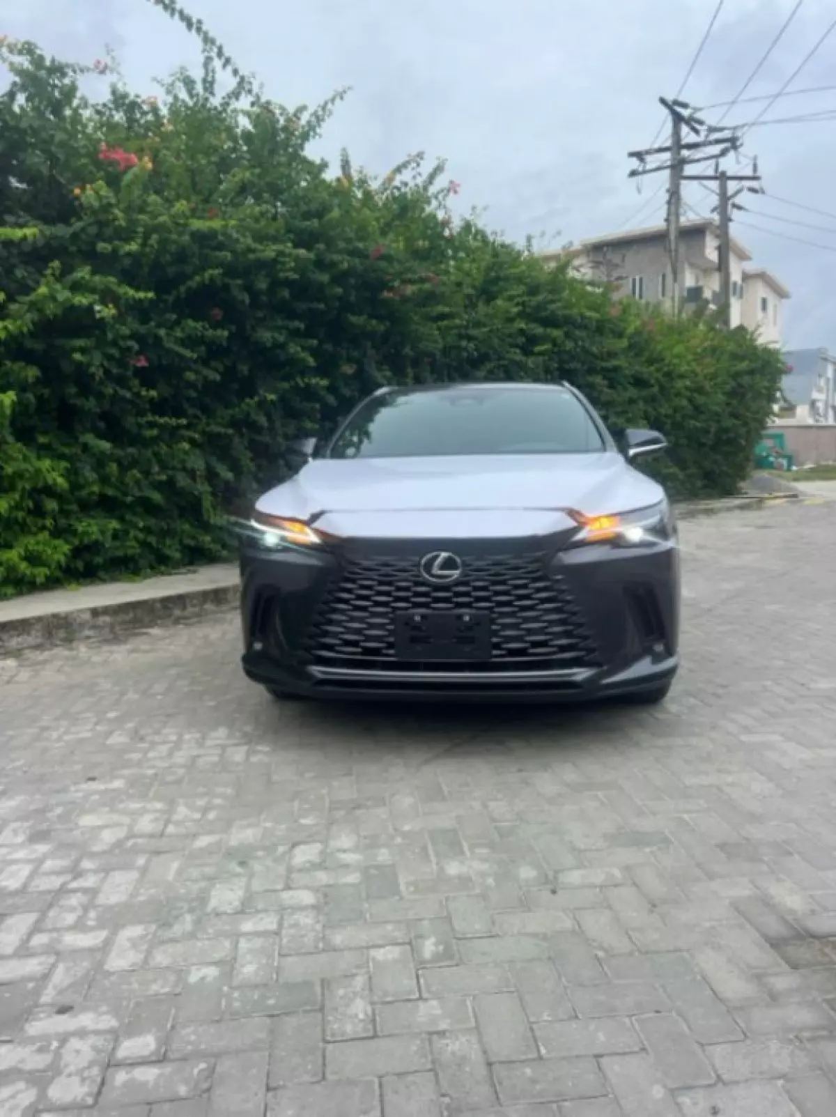 Toyota Lexus RX 350h - 2025